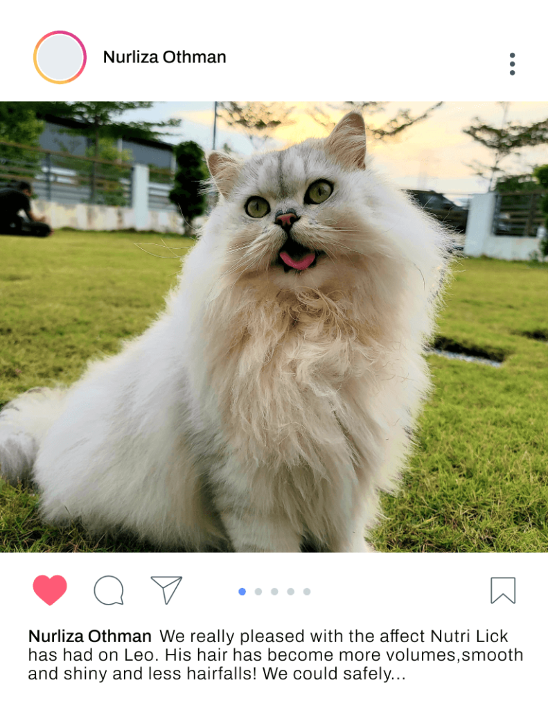 Cerita pelanggan Furvit dari situs HQ