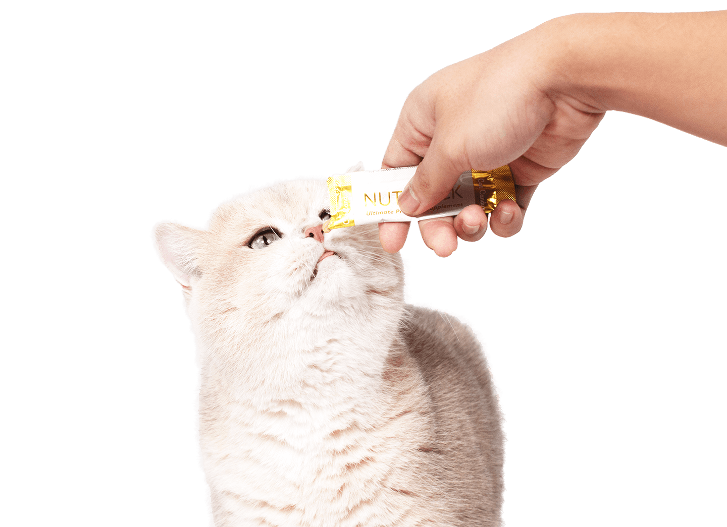 Kucing menikmati Cat Candy’s Nutri Lick